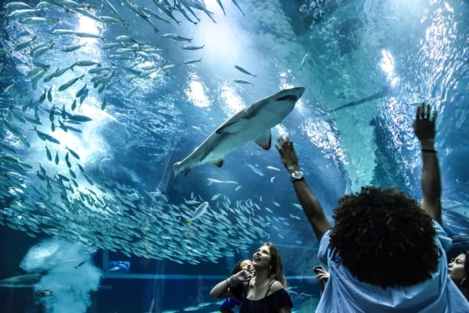 Aquafoz — Foz do Iguaçu