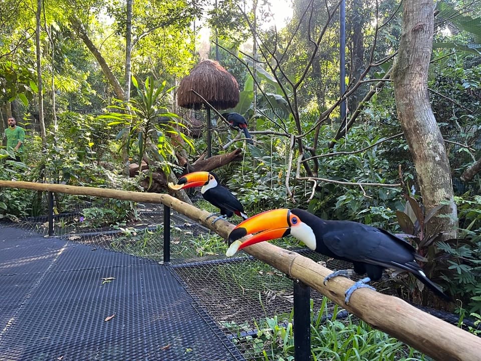 Parque das Aves — Foz do Iguaçu